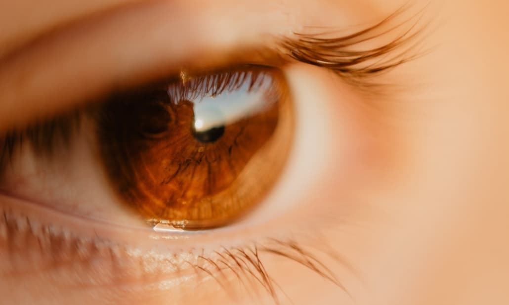 Importanti progressi dell'optogenetica in una patologia della retina