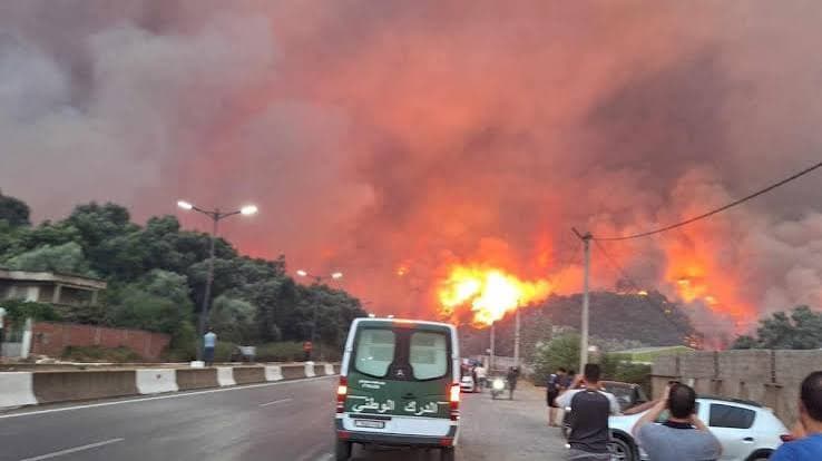 Incendi devastanti in Algeria: almeno 69 vittime e numerosi feriti